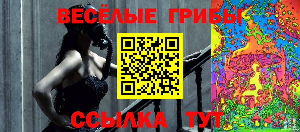 хочу наркоту  Вход с VPN  Будённовск  Псилоцибиновые грибы Cubensis  Псилоцибиновые грибы GOLDEN TEACHER 