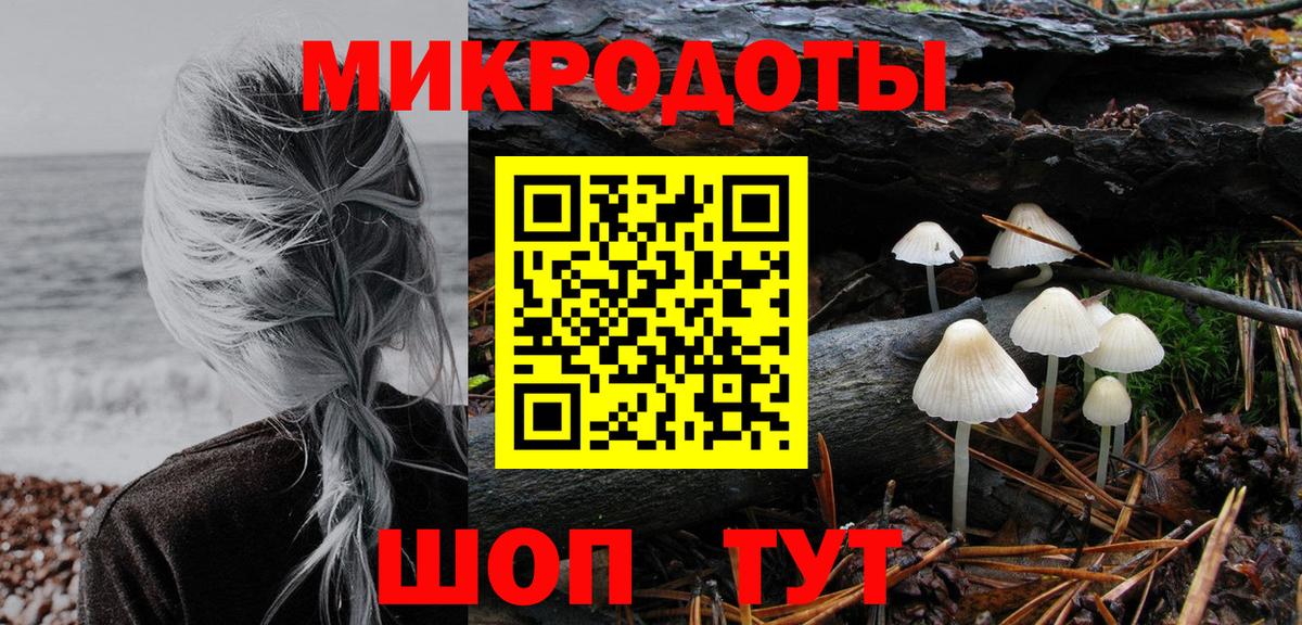 Псилоцибиновые грибы мицелий Будённовск